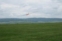 IMG_1781