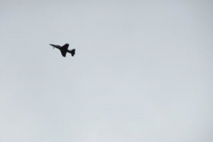 IMG_2264