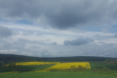 2019-04-27-@-11.52.15