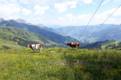 IMG-20180719-WA0009