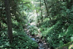 IMG_0194
