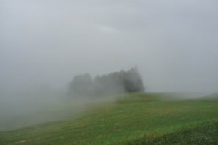 P1030554