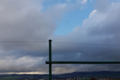 IMG-20190102-WA0002