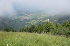 IMG_2720