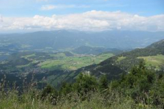 IMG_2876